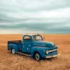 Carter Danielson - @carterdanielson2 - TikTok