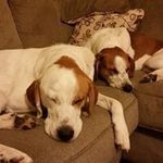 Christina E Carter-Daugherty - @christinacarterdaugherty - Instagram