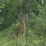 Carter Davidson - @carter_davidson1 - Instagram