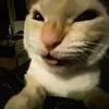Carter.davidson - @carter_davidson0 - TikTok