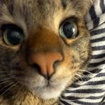 Carter Dean - Facebook
