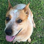 Carter Dean - Facebook