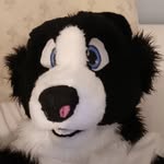 Carter Decker - @cartercollie - Instagram