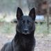 Carter Denton - Facebook