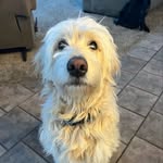 Carter Dethloff - @curt.det - Instagram