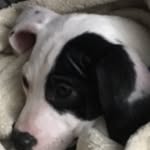 Carter Doherty - @carterdoherty4 - Instagram