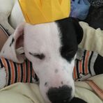 Carter Doherty - Facebook