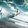 dohertycarterc20 - @dohertycarterc20 - TikTok