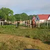 Carter Barton - @carter.barton - TikTok