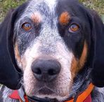 Carter Downs - Facebook