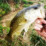 Carterdowns - @carterdowns57 - Instagram