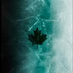 Carter Duffy - Facebook