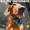 Bob 420 - @carterdurham2 - TikTok