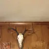 carterdurham743 - @bambi_slayer08 - TikTok