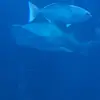 Carter Dyer - @carter.dyer8 - TikTok