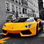 Carter Dyer - @carter.dyer - Instagram