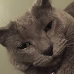 Carter Eckhoff - @eckhoffcarter - Instagram