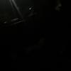 Carter_Elder - @carter_elder11 - TikTok