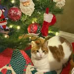 Sandy Carter Eldridge - @sandyeld64 - Instagram