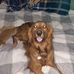 Carter Erickson - Facebook