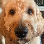 Carter Estes - @raccon121211 - Instagram