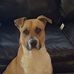 Carter Estes - Facebook