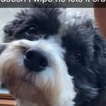 Carter Farrell - @carterfarrellpaul - Instagram