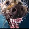 carterfarrell5 - @carterfarrell5 - TikTok