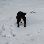 Carter Farris - Facebook