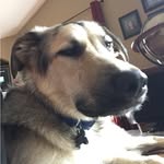 Carter Fellows - @carterfellows11 - Instagram