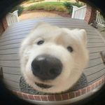 Carter Ferrell - @cartitoo - Instagram