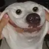 carterferrell - @spacewolf200 - TikTok