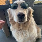 Carter Fleming - Facebook