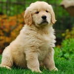 foley carter - @foleycarter0009 - Instagram