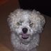 Carter Forrest - Facebook