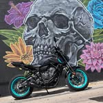 Carter Freeman - @cartercf123 - Instagram
