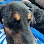 Carter Fulkerson - @carter_fulkerson54 - Instagram