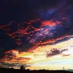 Carter Gardner - @gardcarter - Instagram