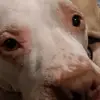 Carter Gardner - @carter.gardner - TikTok