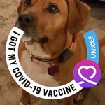 Dianne Carter-Gentry - @diannecartergentry - Instagram