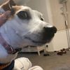 Carter Giles - @carter.giles7 - TikTok