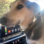 Bonnie Carter Laughlin Gilmer - @bonniegilmer - Instagram