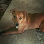 Carter Gilson - @gilly_2754 - Instagram