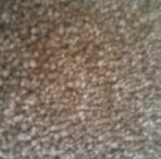 Carter Gilson - Facebook