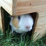 Jeff Carter Gilson - @jscartergilson - Instagram