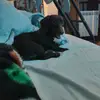 carterglover12346 - @carterglover12346 - TikTok