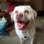 Carter Goetz - Facebook