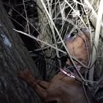 Carter Goetz - @cgoetz.605 - Instagram