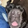 Carter Goff - @carter.goff - TikTok