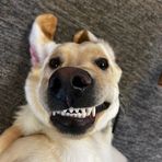Carter Goodman - Facebook